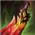 LOL7.10����ʤ�ʱ��� LOL7.10�汾���ĳ�װ�츳����