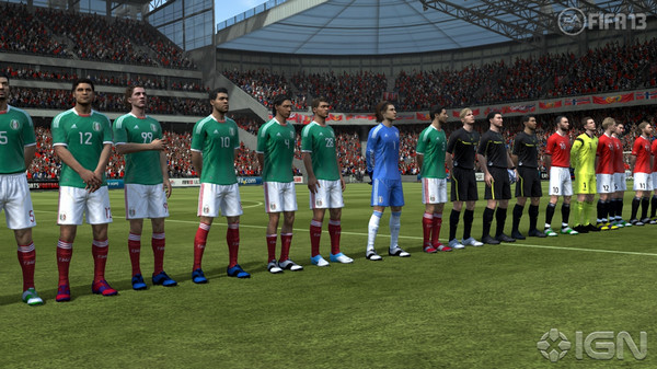 FIFA MANAGER 13 Requires Hardware Graphics Acceleration�������