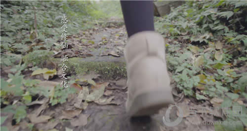 ���ɽ�������4����¼Ƭ