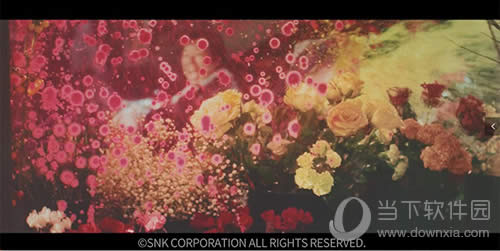 ��ȭ�����ˡ�������Ƶ��ͼ1