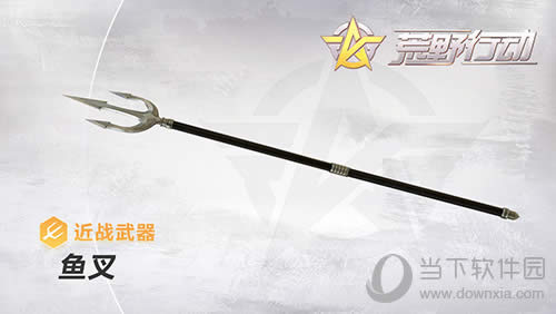 ����Ұ�ж������