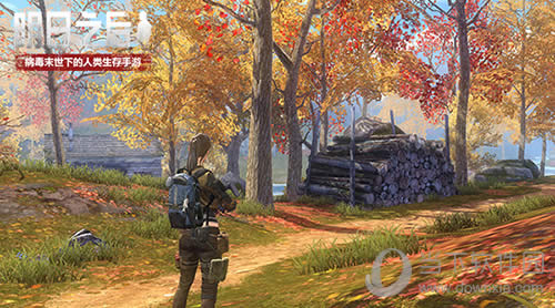 ������֮��������ɭ��