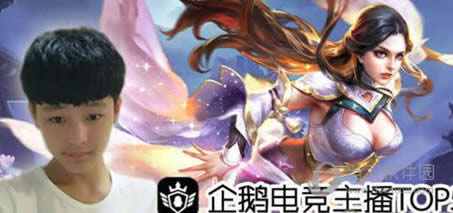 小浪浪照片