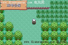 GBA���ڴ������̱�ʯ��ͼ�Ĺ���_һ��Ŀ���ľ���