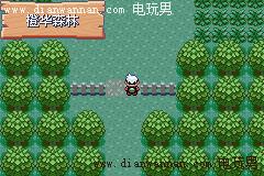 GBA���ڴ������̱�ʯ��ͼ�Ĺ���_һ��Ŀ���ľ���