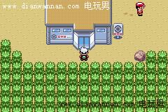 GBA���ڴ������̱�ʯ��ͼ�Ĺ���_һ��Ŀ���ľ���