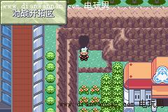 GBA���İ桶�ڴ������̱�ʯ������Ŀͼ�Ĺ���