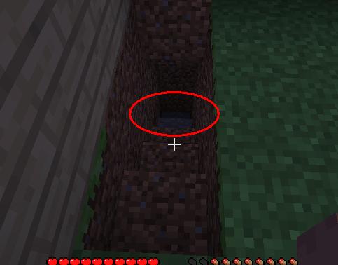 �ҵ�����Minecraft�������ŵ�һ��ҹ�����湥��