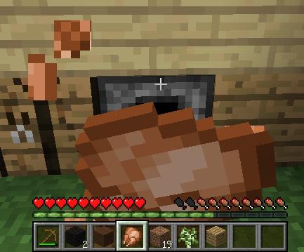 �ҵ�����Minecraft�������ŵ�һ��ҹ�����湥��
