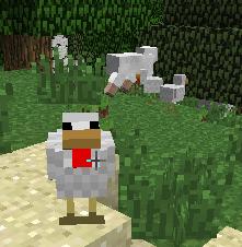 �ҵ�����Minecraft�������ŵ�һ��������湥��