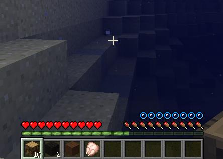�ҵ�����Minecraft�������ŵ�һ��������湥��