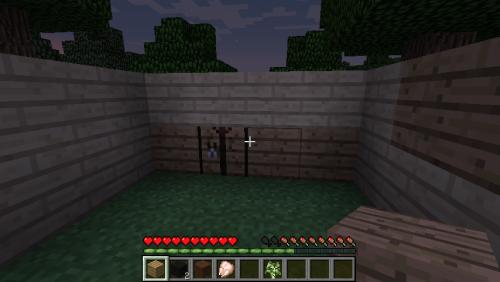 �ҵ�����Minecraft�������ŵ�һ��������湥��