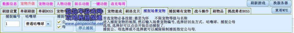 ����������縨����ô��ˢ��