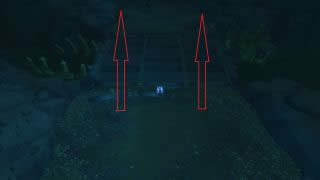 ��DK��ķ��˪��Ϣʹ��ָ�� ���ɴ����ը�˺�