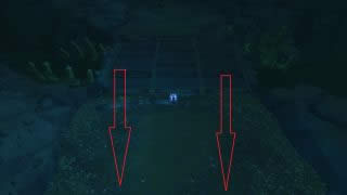 ��DK��ķ��˪��Ϣʹ��ָ�� ���ɴ����ը�˺�