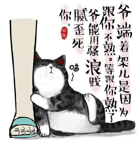 6.2Ȥζ�ʵ�����ѧ��è���� è�౦������ſ